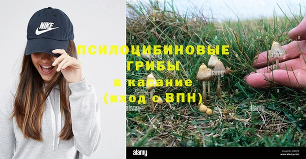 дживик Зеленокумск
