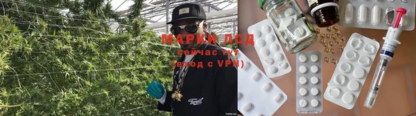дживик Зеленокумск